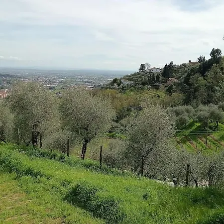 House Of Barignano Пеша