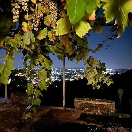 House Of Barignano Пеша